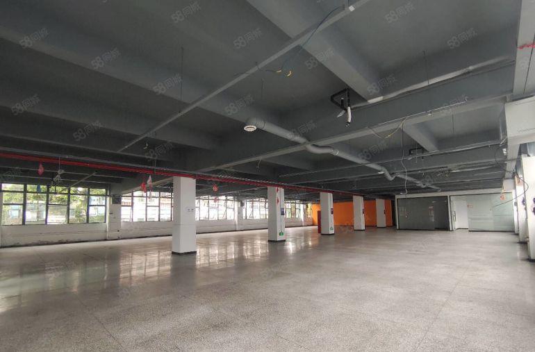 （享补贴）坂田五和3600平办公仓库低价出租，200起分。