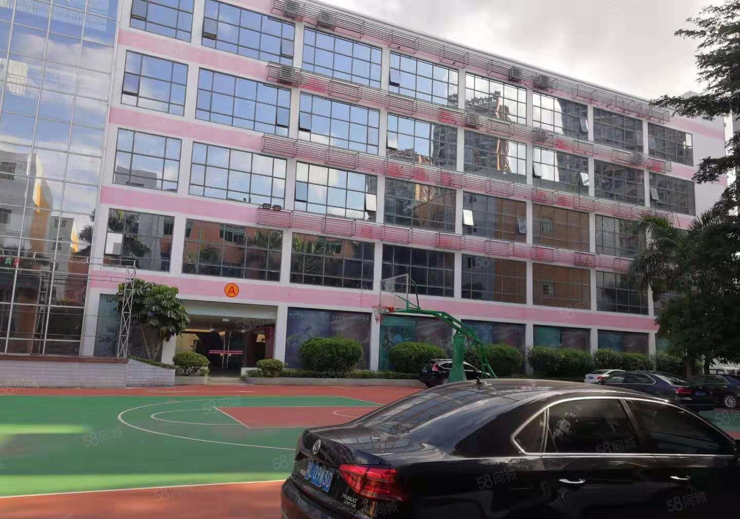 可分租，南联精装修1000平整层电商办公厂房仓库出租！有红本