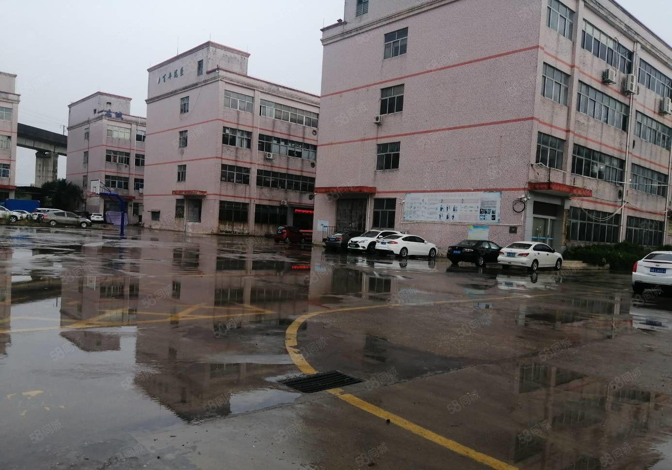 300平起租坂田原房东8500平独栋厂房 水电齐全 空地大