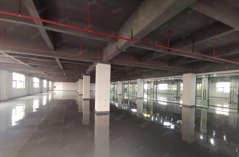 坂田岗头电商园厂房200平300平起层分租 可做办公仓库出租