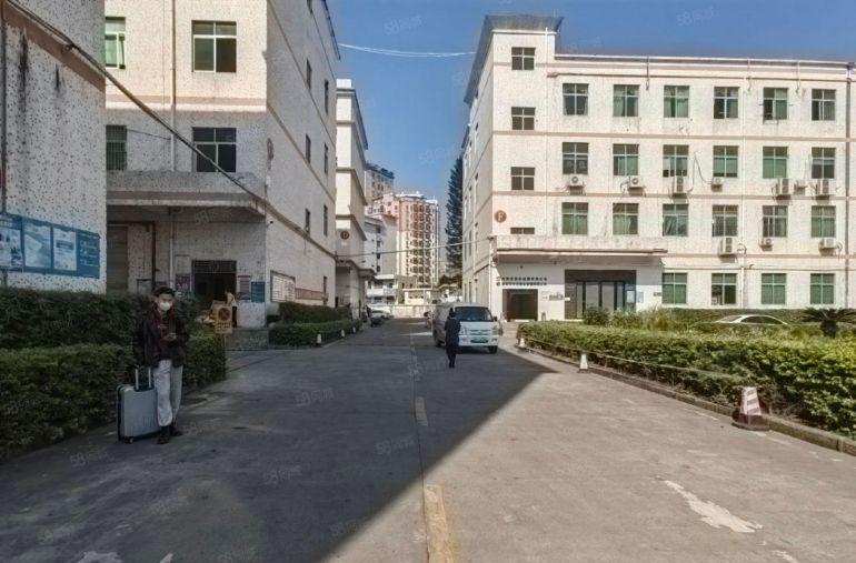 坂田杨美地铁站电商园厂房出租200平，500平仓库出租