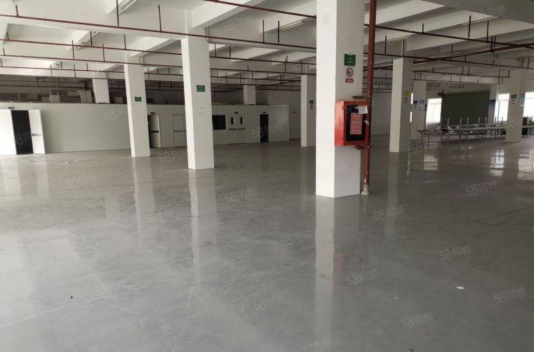 横岗大厦附近2000平仓库厂房出租可报价22元一平有货梯