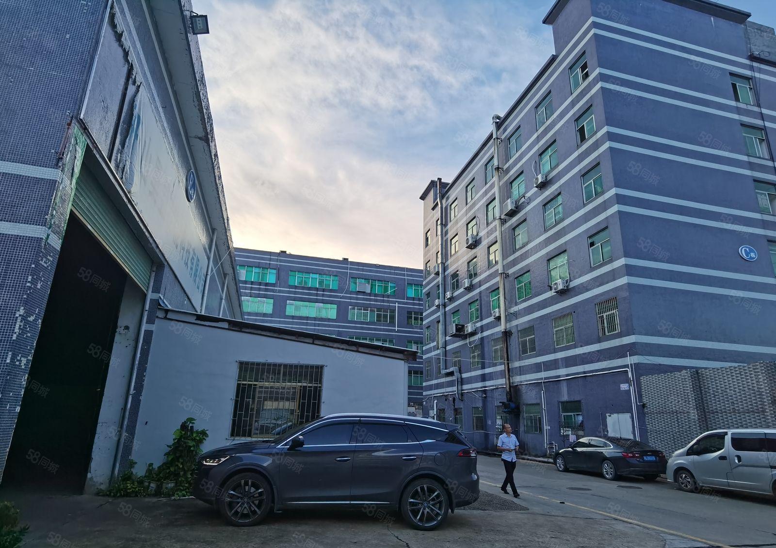 300平起分租！带装修！大小面积可分！龙东工业区厂房仓库出租