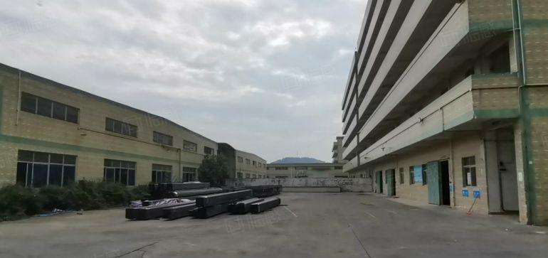 坂田杨美地铁口滴水8米钢构厂房出租2000平至5000平仓库