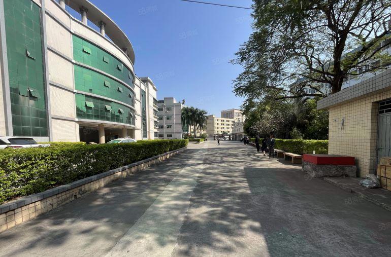 平湖白泥坑海吉星一楼500平厂房冷库出租冻库仓库分租空地超大