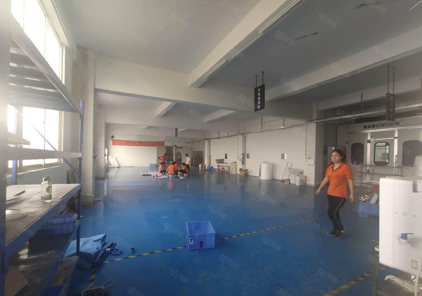 龙岗爱联嶂背园湖路独门独院4000平原房东带装修厂房出租分租