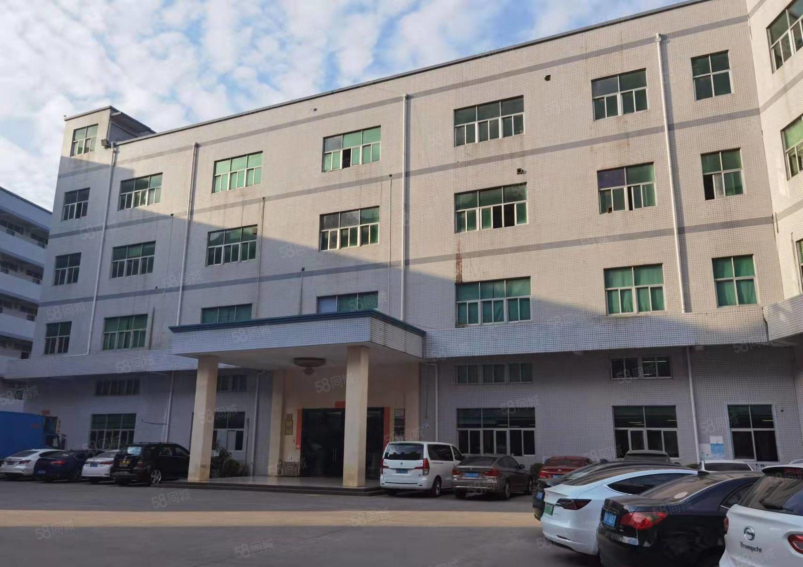 华南城边上木古宝来工业区原房东楼上1500平方出租面积没公摊