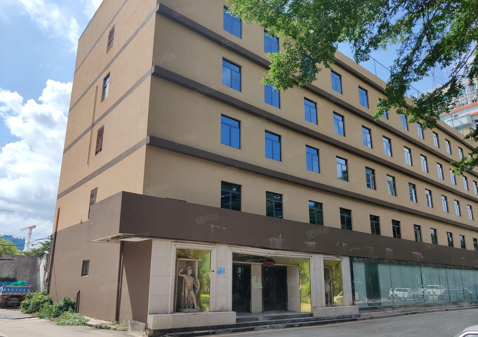 平湖华南城精装修500平米厂房出租200平分租适合电商贸易