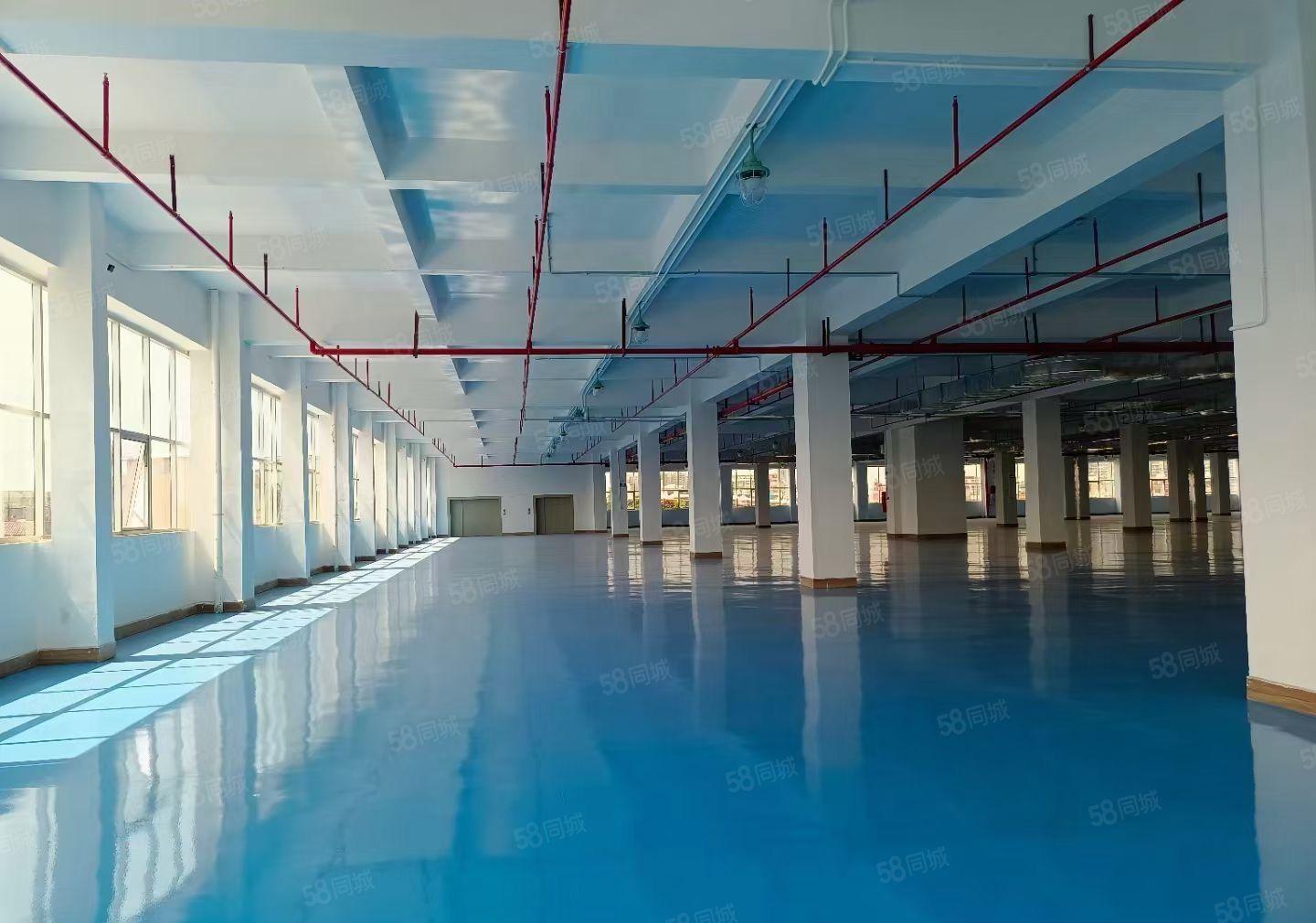 横岗六约新空出楼上2000平精装厂房仓库出租带消防喷淋地坪漆