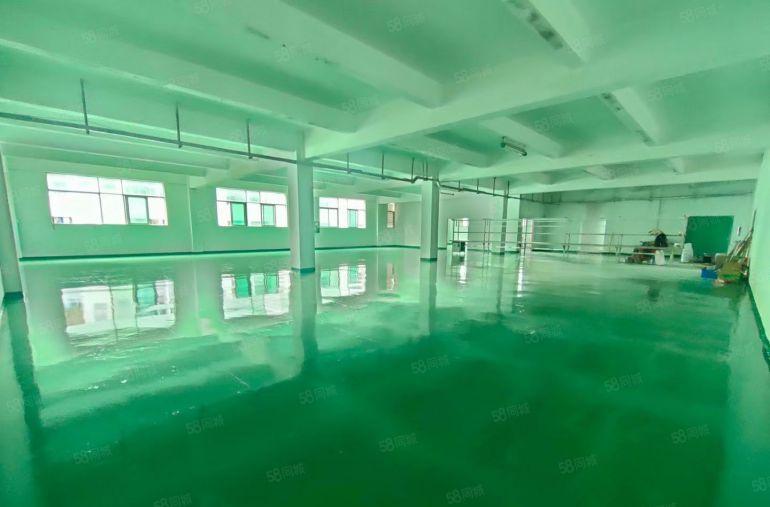 龙岗中心城原房东独院3600平厂房出租 租金仅15元 可分租