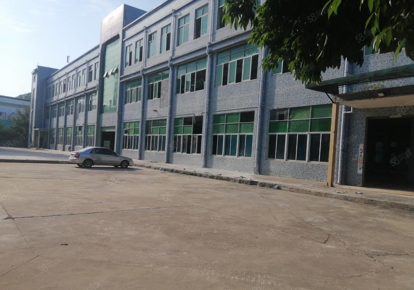 500起租横岗地铁站附近原房东独门独院15000平 精装厂房