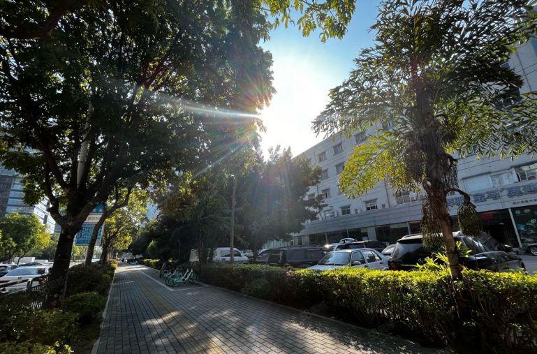 龙岗坂田布吉780平电商产业园仓库厂房精装办公室低价出租