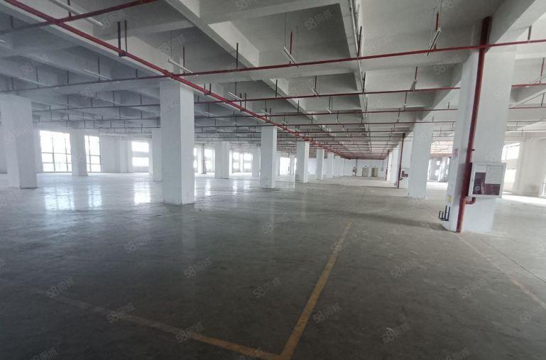 出租平湖富民工业区1500平标准厂房出租仓库招租500平起