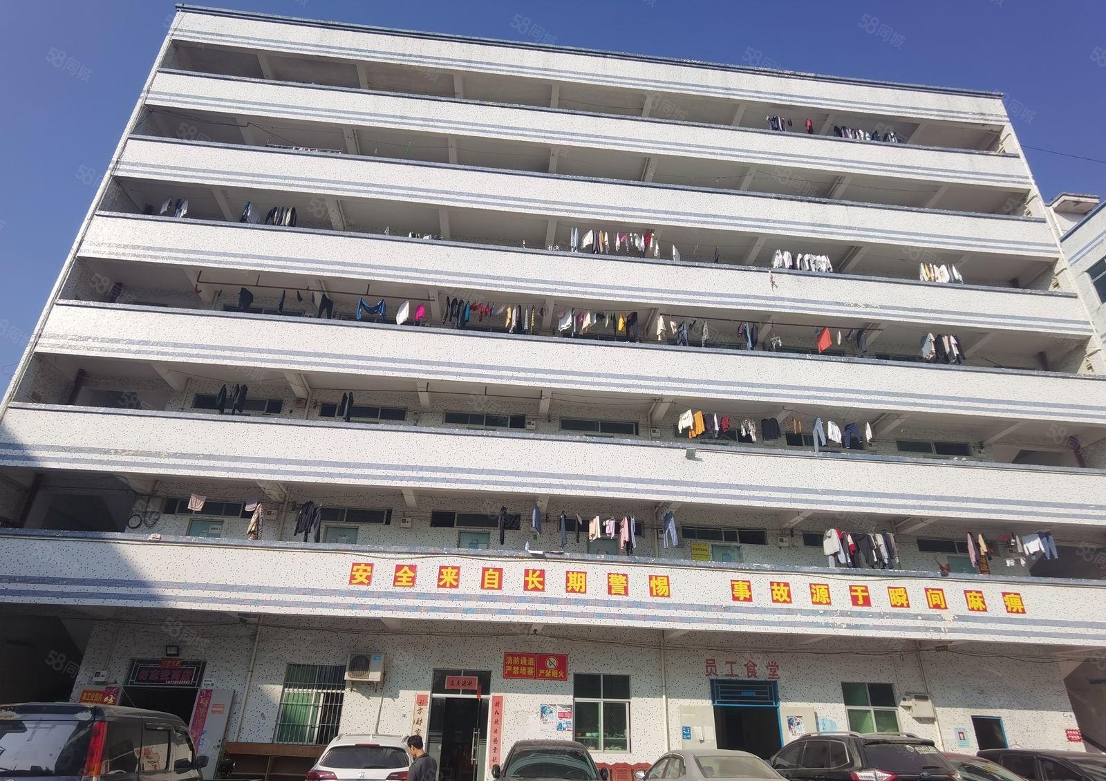 业主直租带装修！龙岗南联新出625平整层厂房出租现成水电