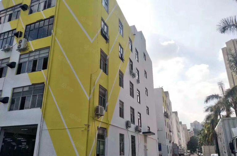 坂田雪象，新出一楼整层4800平，可分租，能进柜车，前后有门