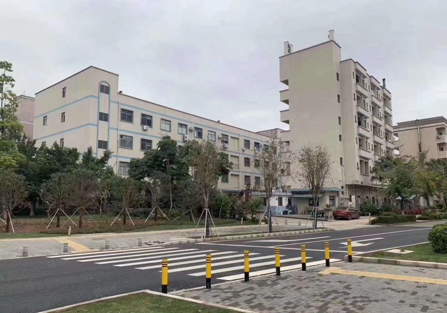 S龙岗坪地独院10000平方可分租