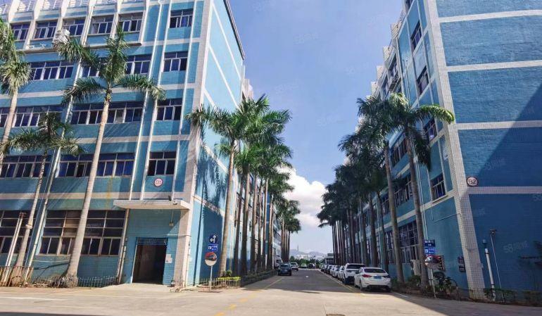 龙岗同乐原房东单层2000平方红本带装修办公仓库厂房低价出租