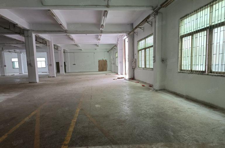 龙岗坪地坪东原房东独院厂房3300平可分租