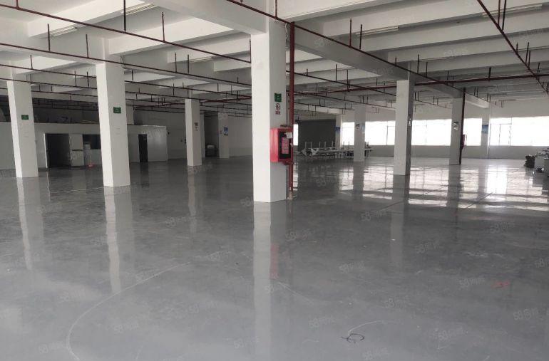 19元起租龙岗宝龙工业区新出二楼2000平厂房出租可分租一楼