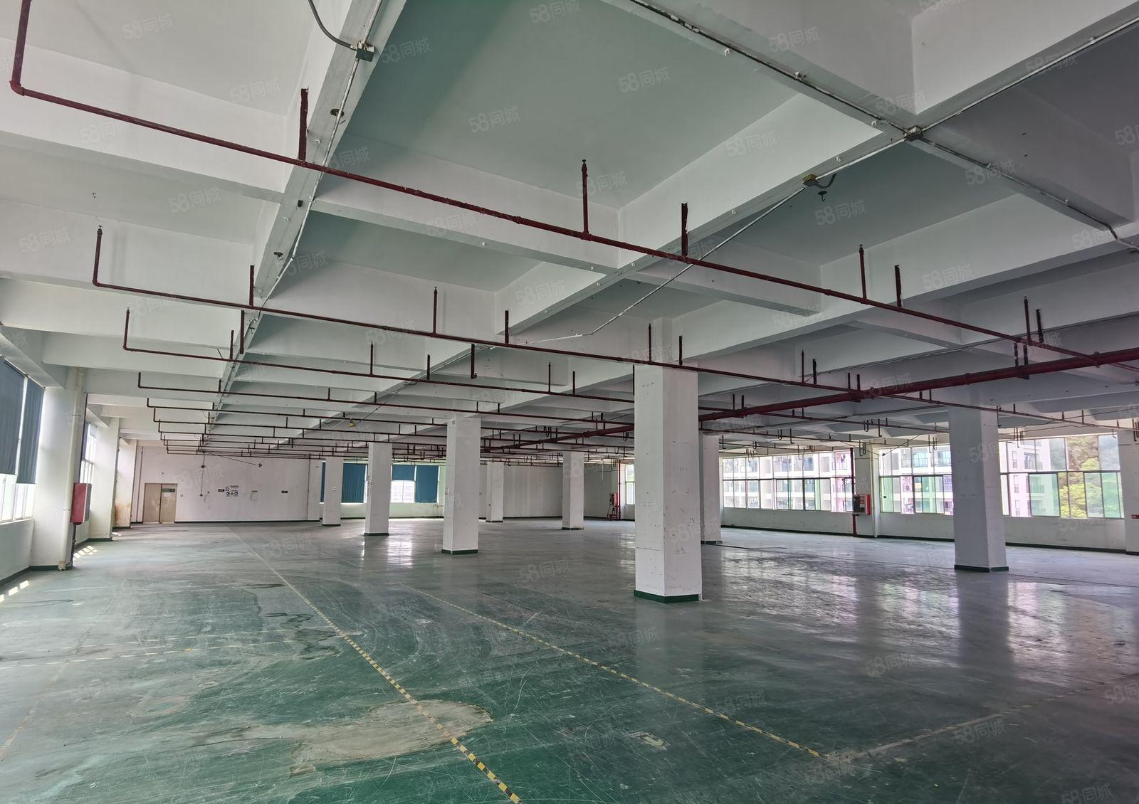 15元起！1000平起分租！坪地富民工业区2200平厂房出租