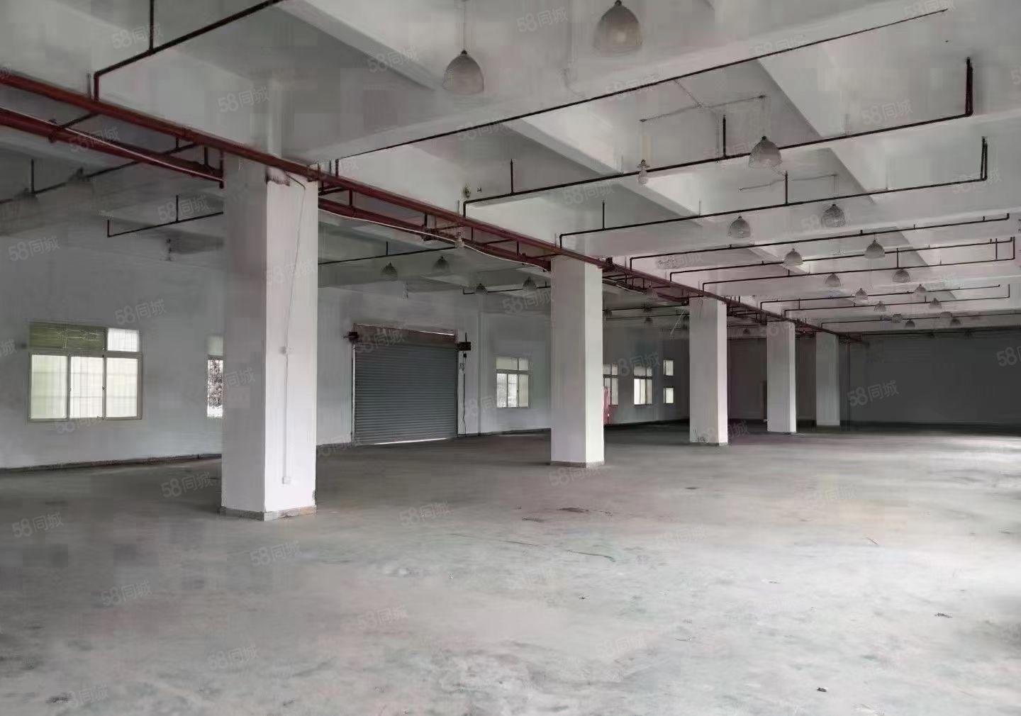 原房东独院厂房出租，实际面积