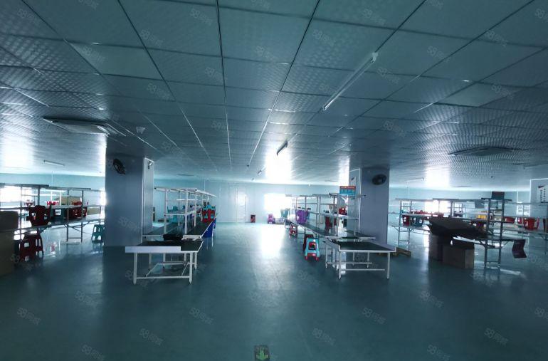 平湖辅诚坳标准厂房出租2000平可200平起分租单价20元