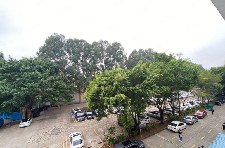 原房东坂田700平起红本厂房仓库出租园区空地大好停车