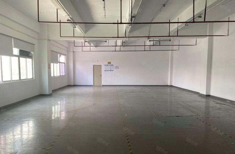 （厂房出租）光雅园地铁口3楼全新装修厂房1000平户型方正