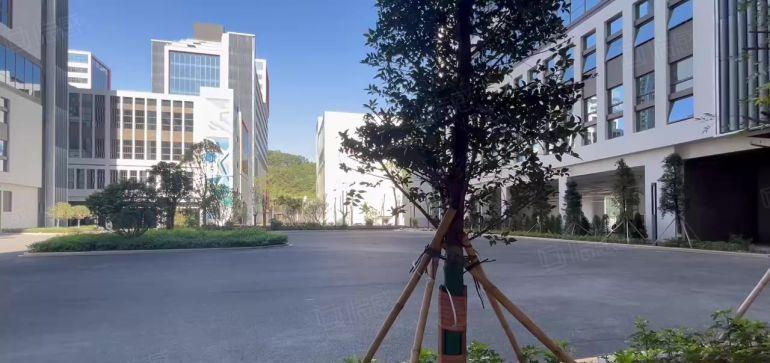 500平起分租 行业不限 横岗全新红本医疗产业园厂房出租