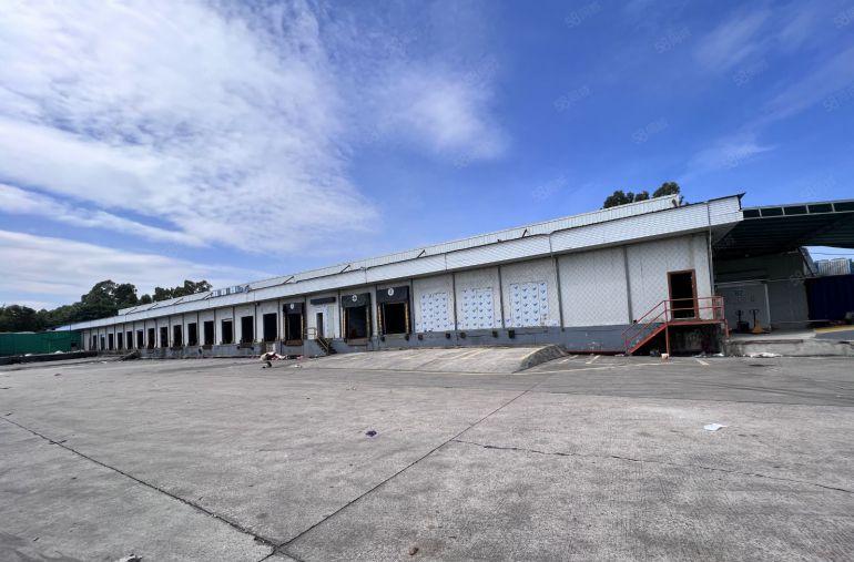 平湖海吉星物流仓独门独院单一层带冻库出租100平起