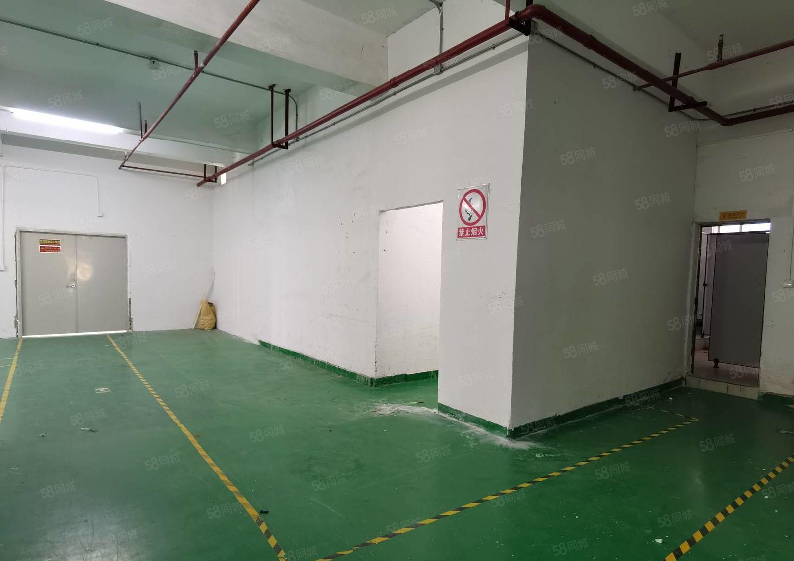 坂田水电齐全1000平厂房出租隔好办公室园区形象好主干道旁