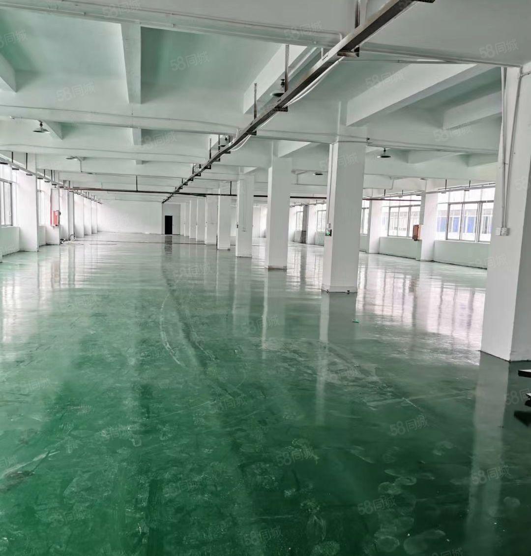 龙岗镇尤东工业区厂房二楼1250m2现成水电地板漆办公室