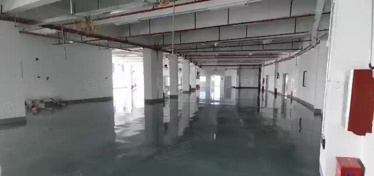 龙岗宝龙原房东工业园新出单层面积3200平厂房出租可分租一楼