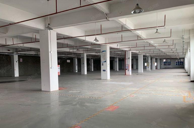 独门独院原房东厂房急租！大小面积可分红本厂房