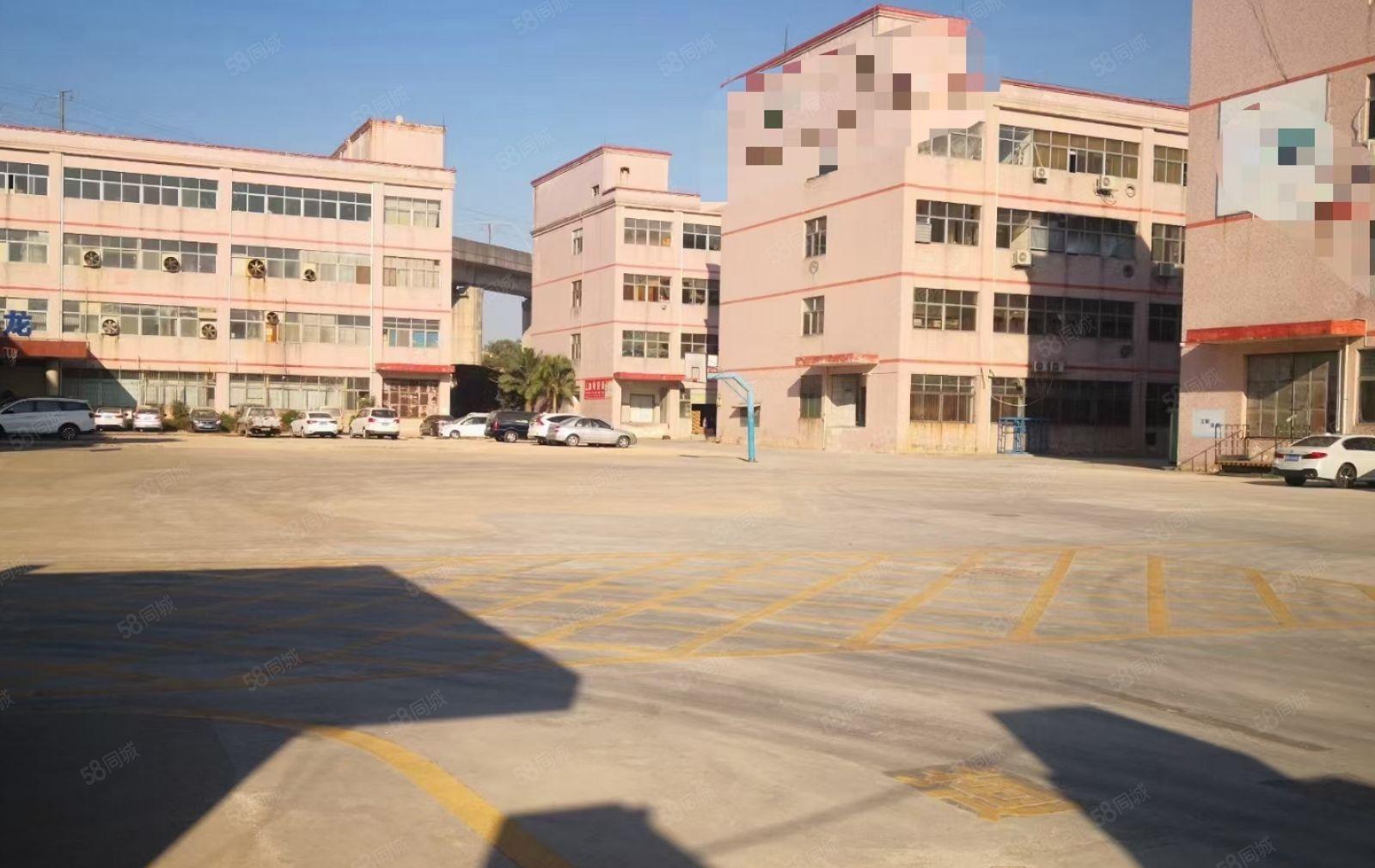 L龙岗宝龙科技园13元1600平出租，可分租