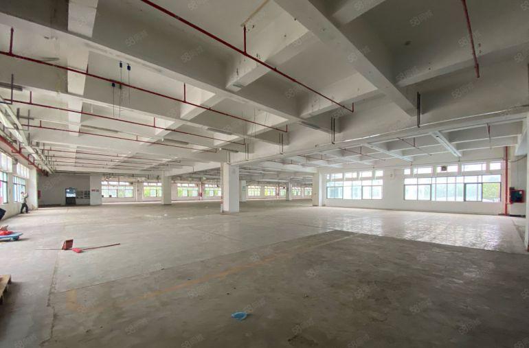 原房东坂田700平起红本厂房仓库出租园区空地大好停车