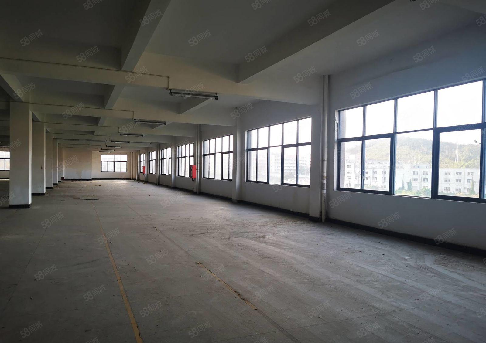 龙岗宝龙科技园精装修楼原房东5000平红本厂房出租