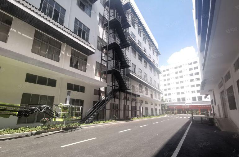 横岗六约地铁站旁原房东红本1000平精装厂房出租分租使用率高