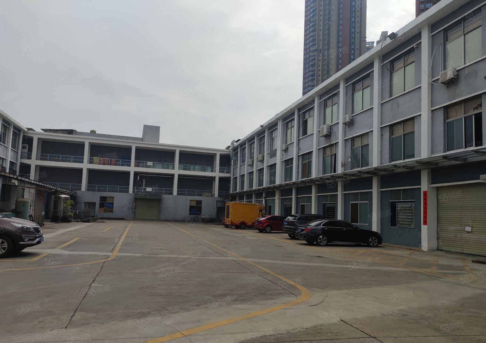 龙岗中心城新生社区独栋厂房12楼每层1200平方，可分租