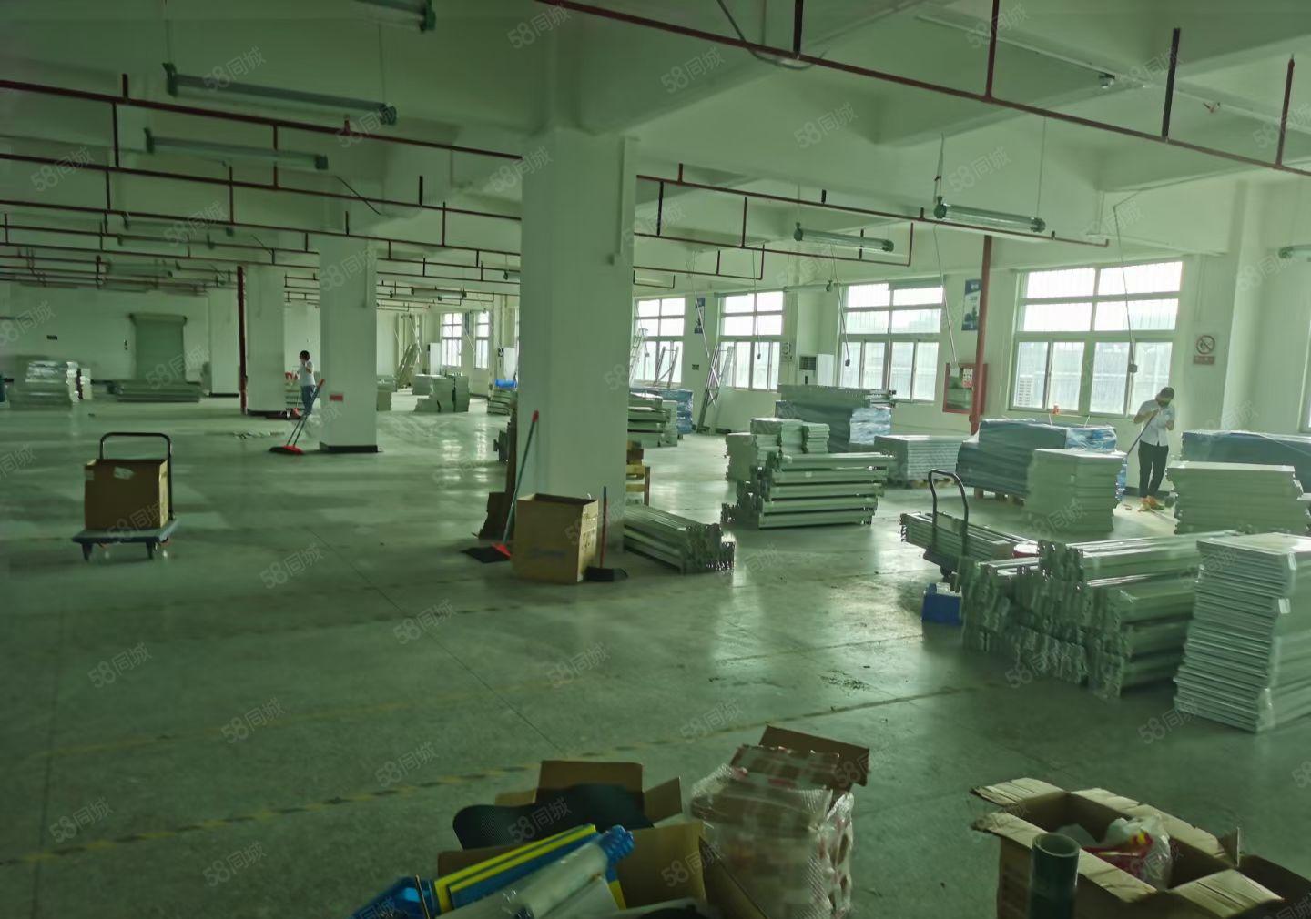 平湖富民原房东独院6000平方带装修厂房出租