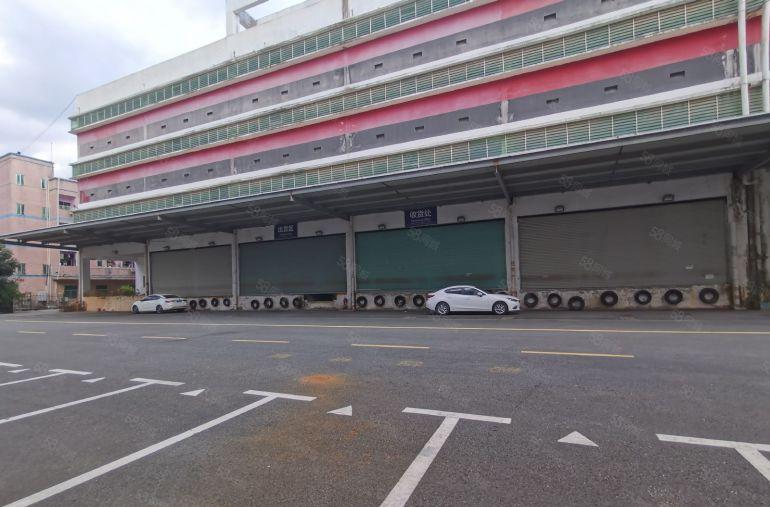 同乐厂房出租一楼仓库独门独院深圳物流园卸货平台分租超大空地