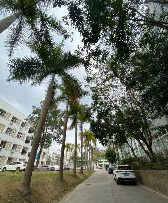 龙岗独院一楼低价仓库厂房出租1500平工业产业园可整栋可合租