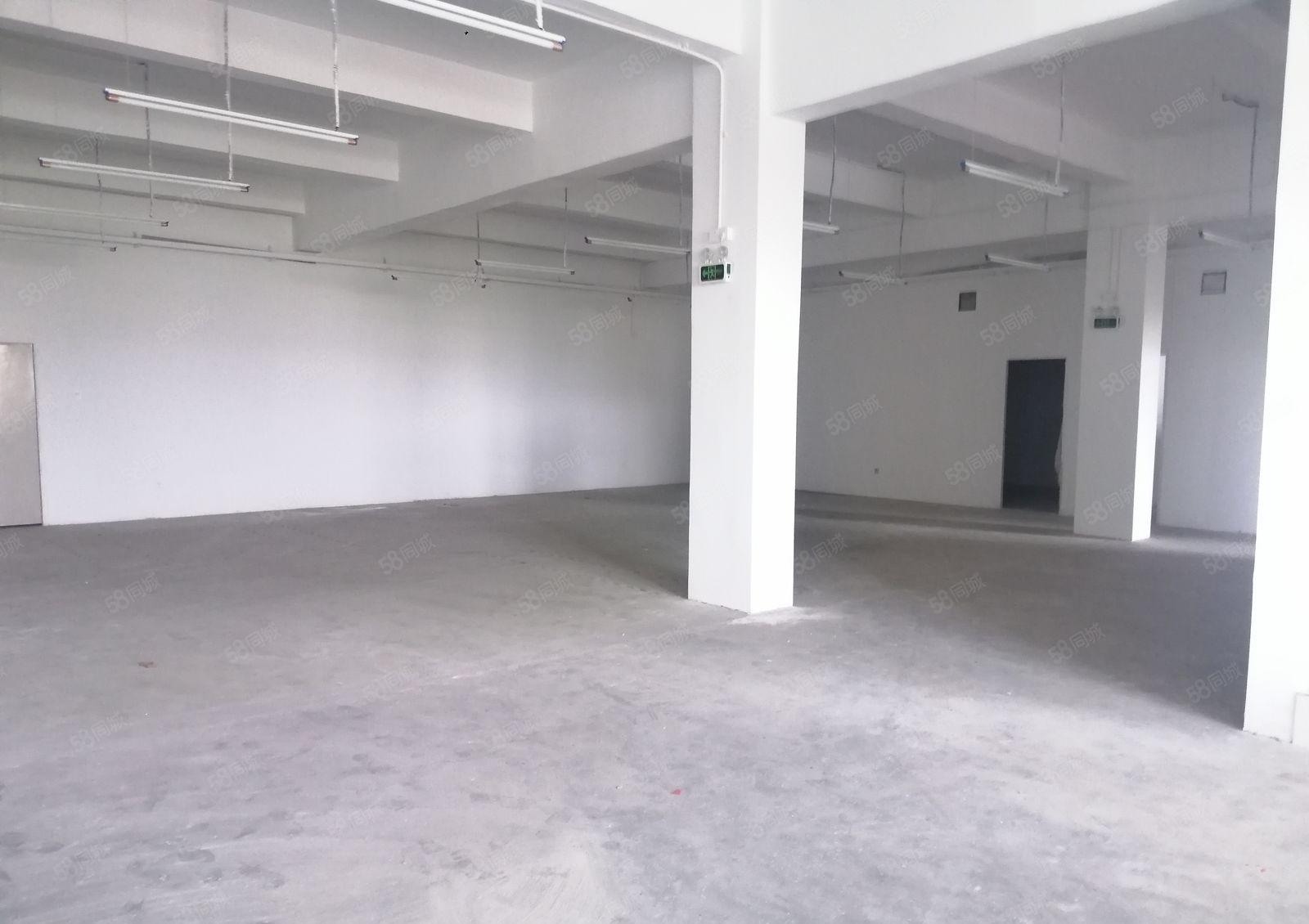 南联村委厂房 单层2000平米 可以分租 300平米起租