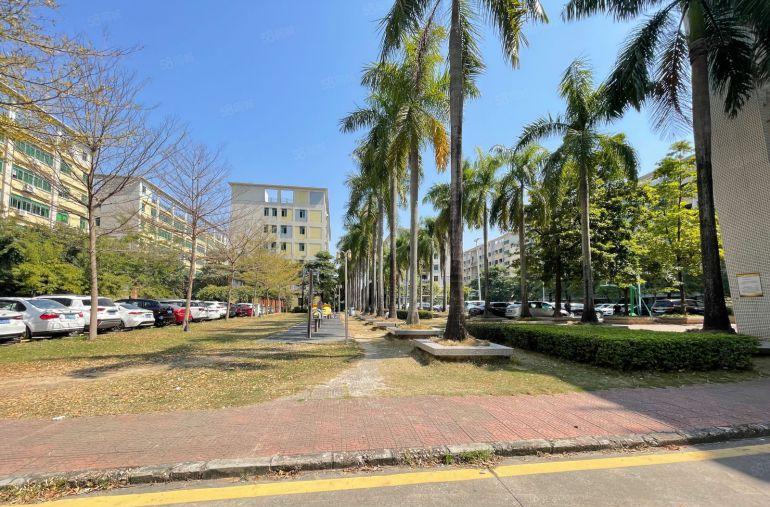 龙岗坂田上雪科技园厂房仓库出租1500平！300平起租