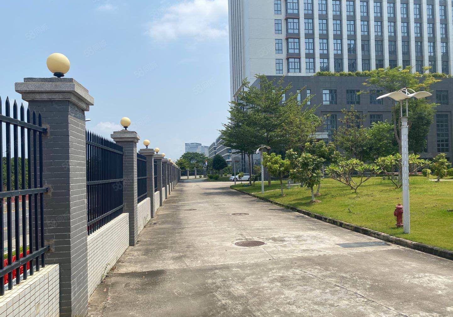 横岗荷坳新出2000平厂房仓库出租可分租一半带装修交通便利