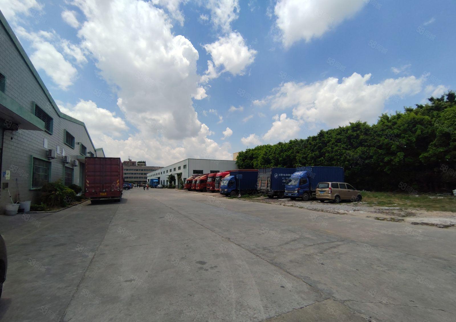 龙岗同乐滴水10米1.2万平钢构厂房出租500起租行业不限