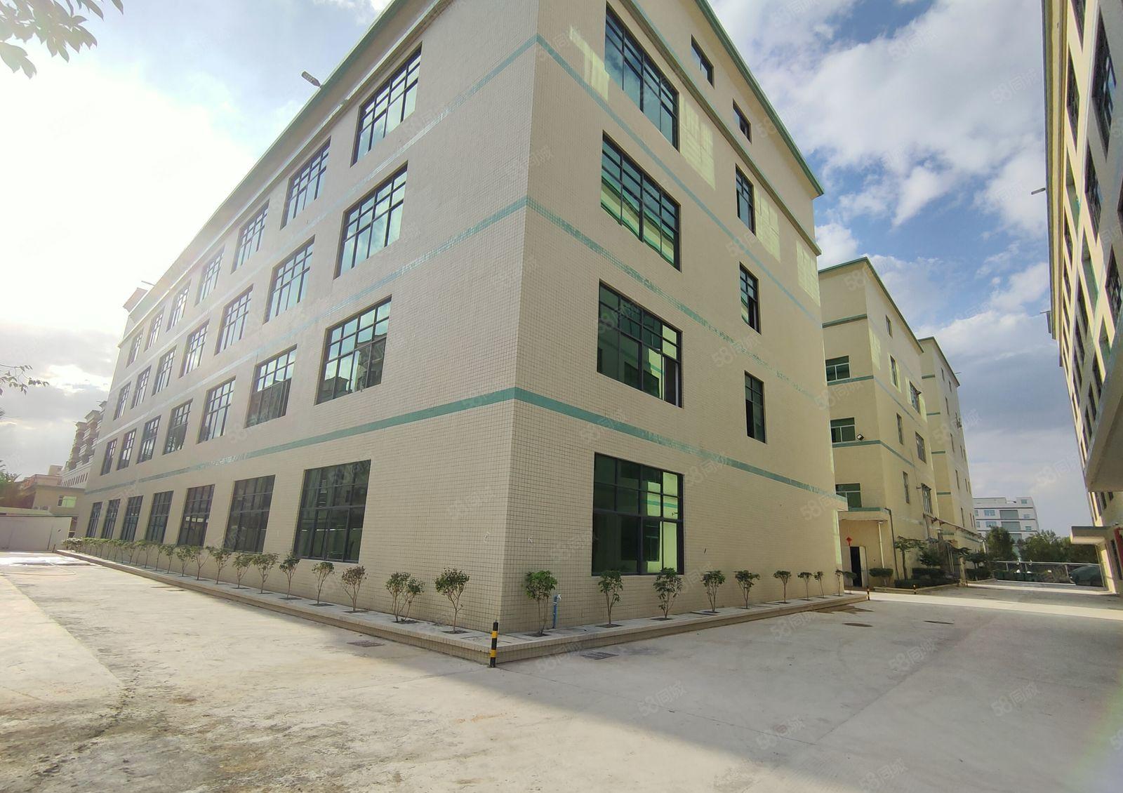 坂田上雪科技园2000平红本厂房仓库招租，带装修超大空地