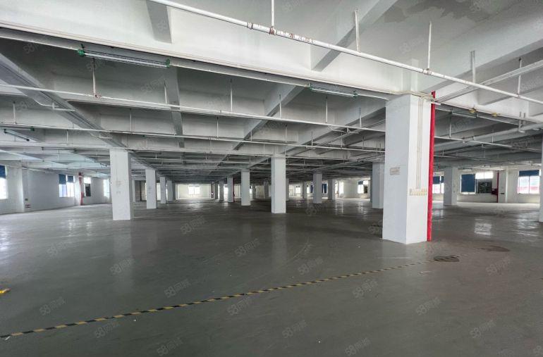 龙岗宝龙科技园红本厂房仓库6800平可分租带丙类消防场地大