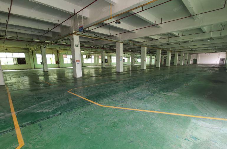 深圳龙岗宝龙地铁口独门独院厂房出租仓库独栋整租分租超大空地