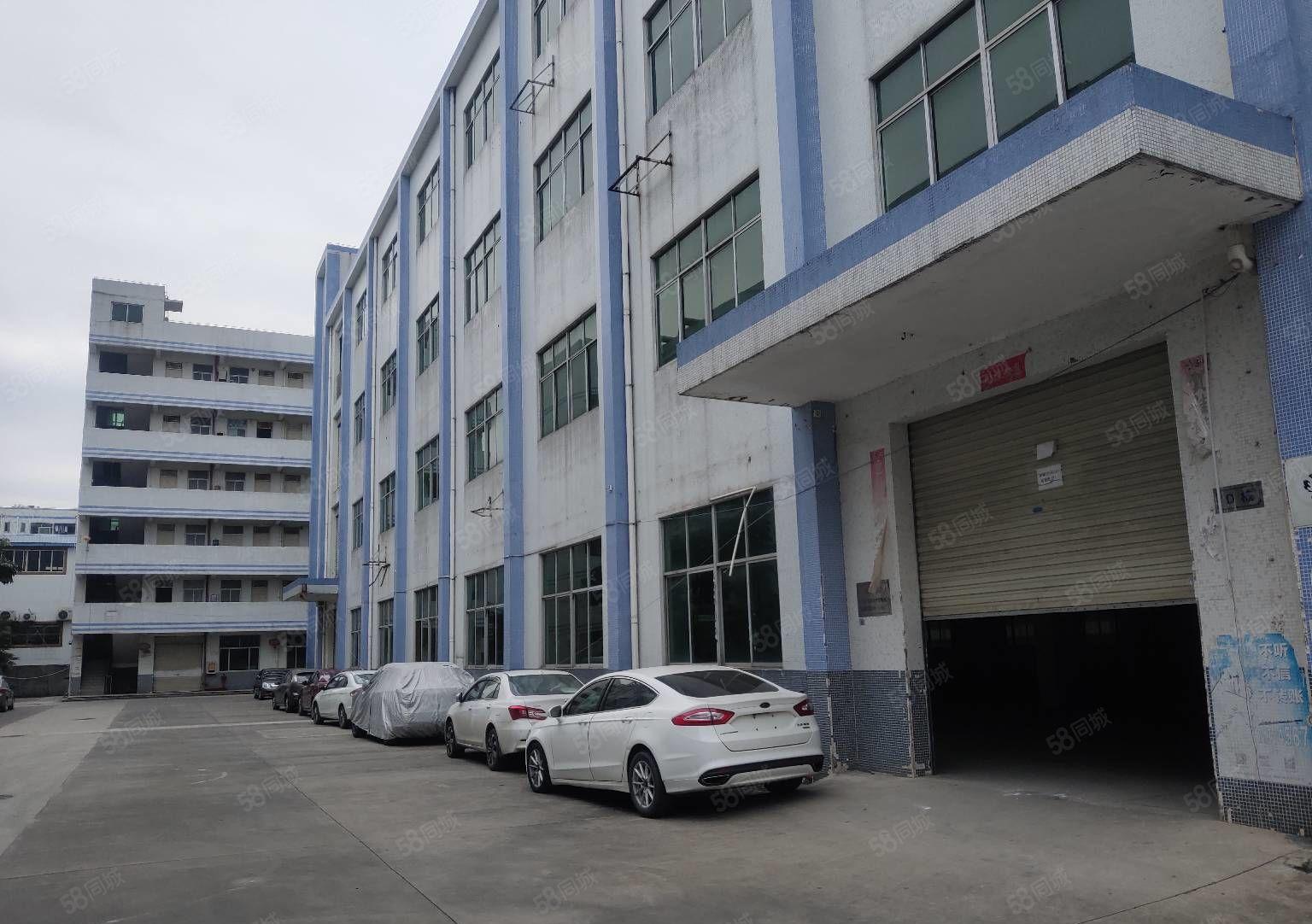 龙岗同乐新出原房东红本独院8000平带装修厂房出租可分租一楼